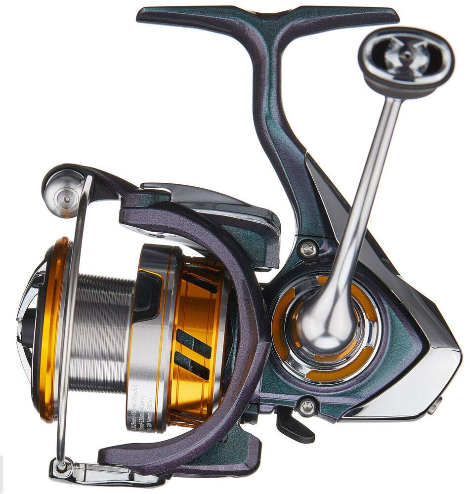 Daiwa Regal Spin 1000